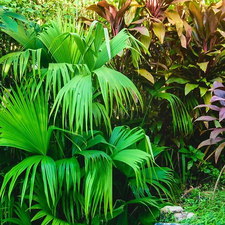 Pousada Jardim Das Bromelias Porto Seguro Dış mekan fotoğraf